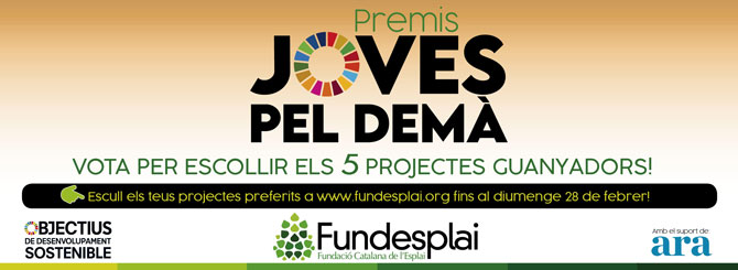 Premis Joves pel Demà de Fundesplai