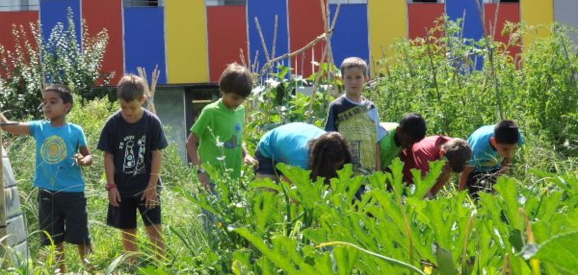 7 actividades para el Día Mundial del Medio Ambiente en la escuela
