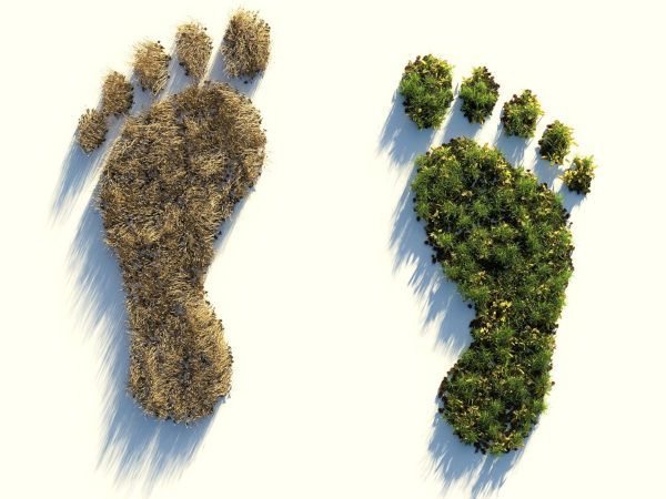 Cómo calcular la huella ecológica