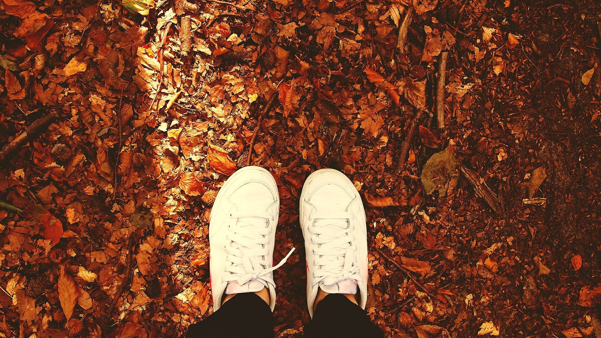 8 salidas escolares para disfrutar del otoño