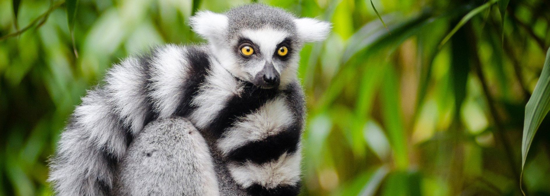 18 documentales espectaculares para amar la naturaleza