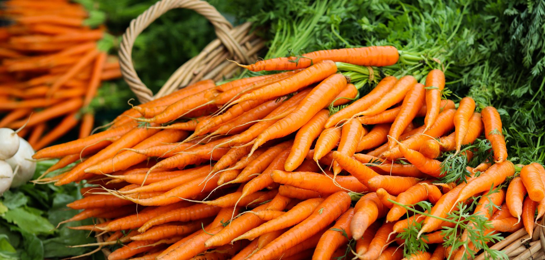 ¡Mayo es temporada de zanahorias!