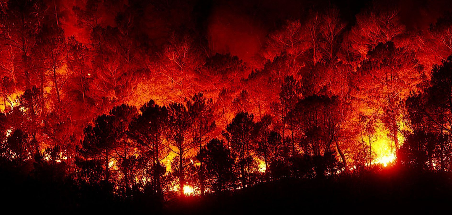 8 Medidas para prevenir incendios cuando vamos de excursión