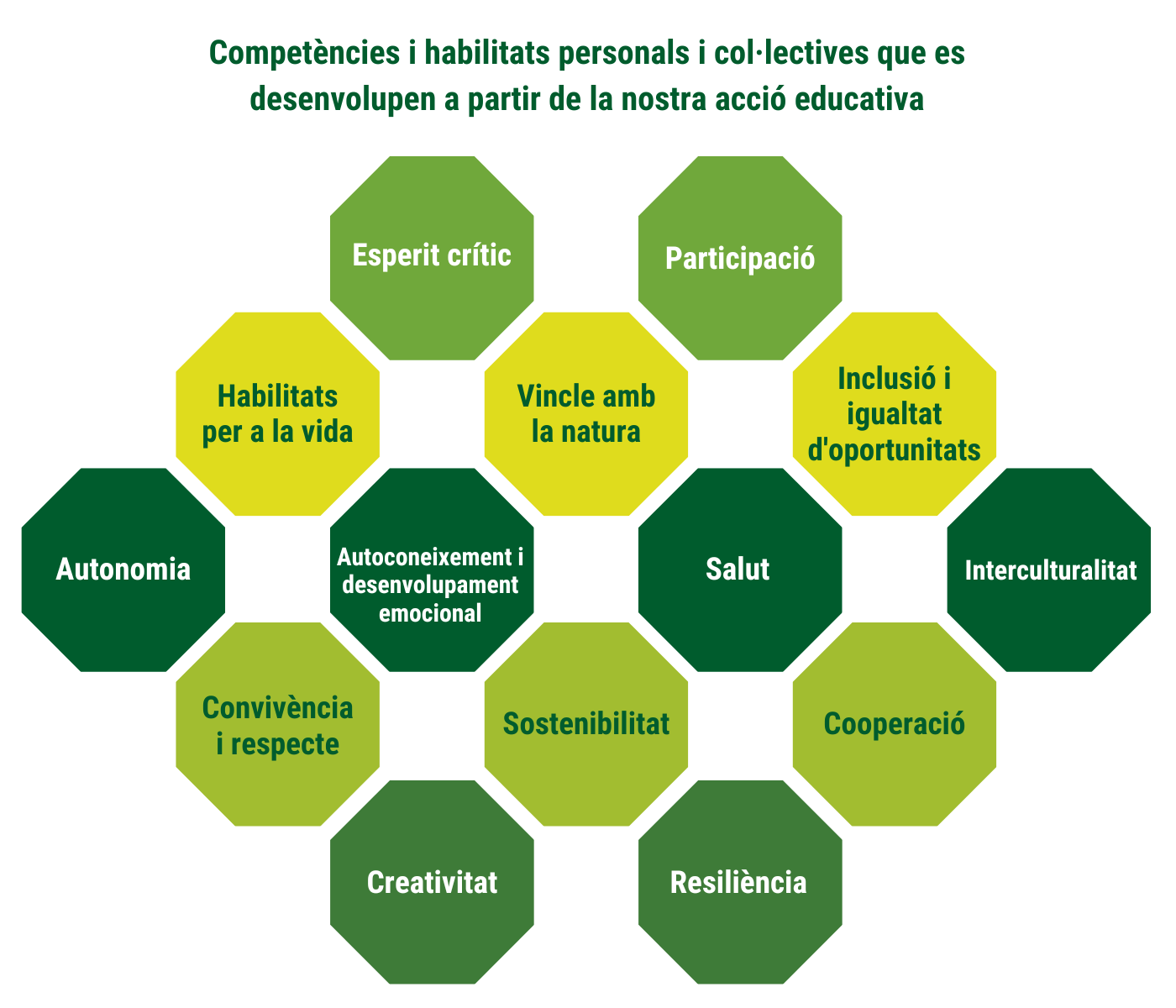 Competències i habilitats personals i col·lectives(1)