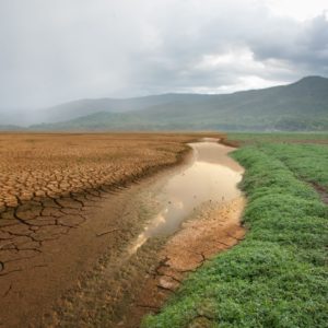Els costos ecològics i l’ètica del canvi climàtic