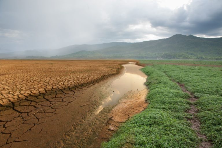 The ecological costs and ethics of climate change