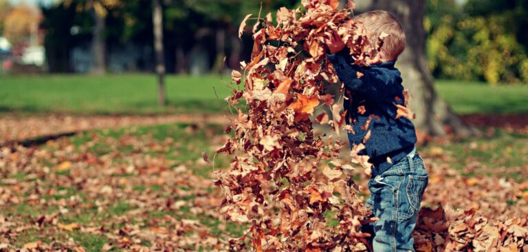 17 canciones sobre el otoño y la castañada