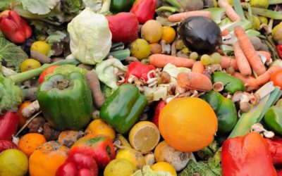 6 Ideas to reduce food waste from home