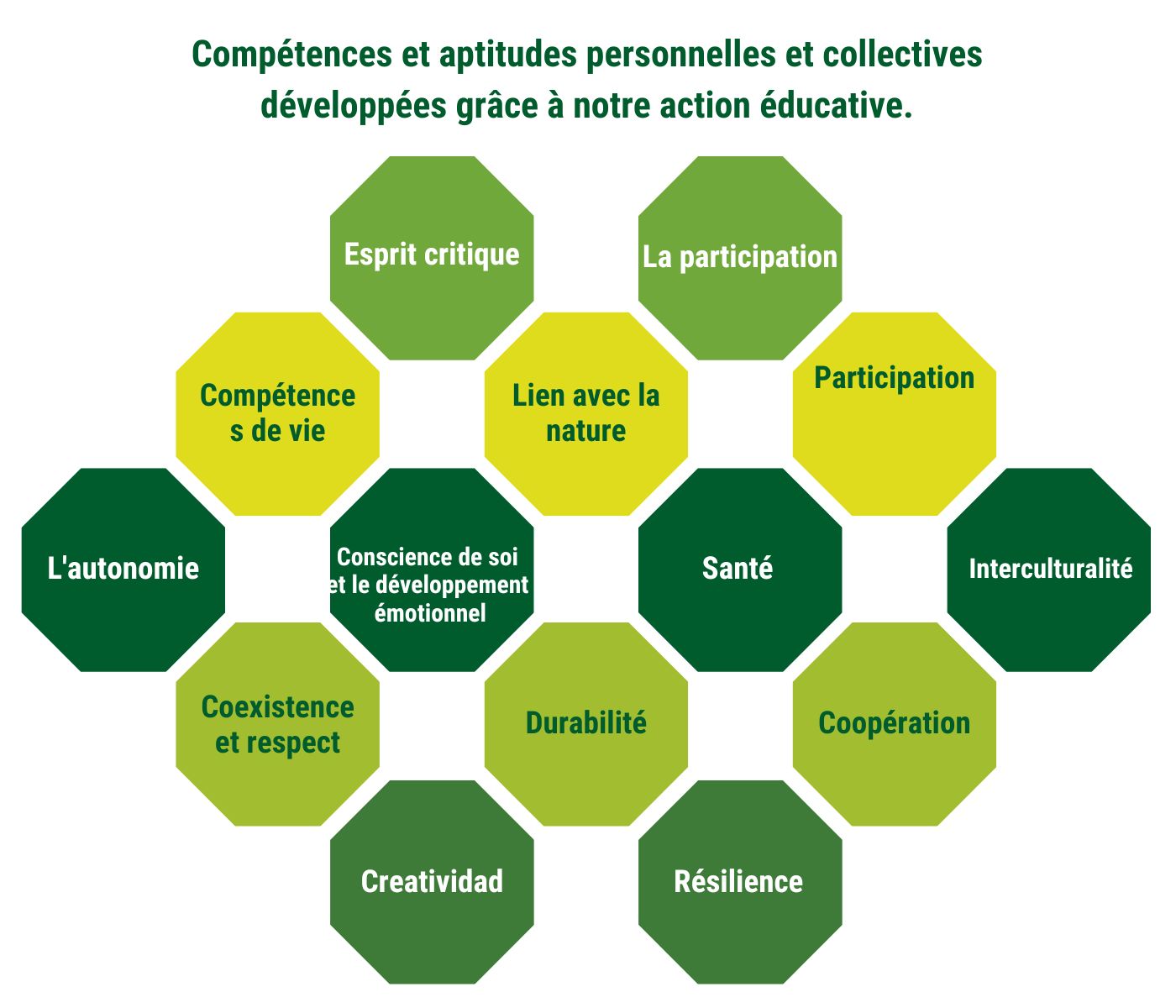 Competències i habilitats francès