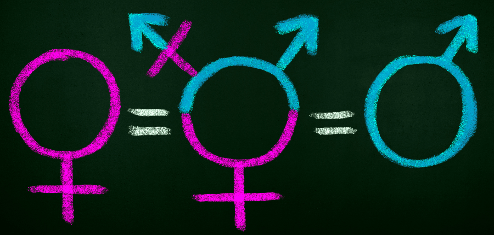 Vols assessorament gratuït en matèria d’igualtat de gènere i diversitat? Inscriu-te a la jornada virtual de presentació de l’Oficina tècnica