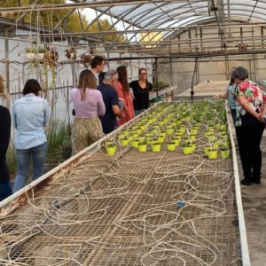 Celebrem la Setmana BIO per l’alimentació ecològica a l’escola