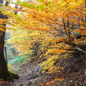 10 fagedes espectaculars per anar d’excursió amb nens i nenes