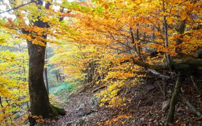 10 fagedes espectaculars per anar d’excursió amb nens i nenes