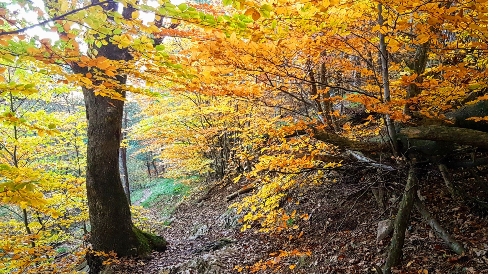 10 fagedes espectaculars per anar d’excursió amb nens i nenes