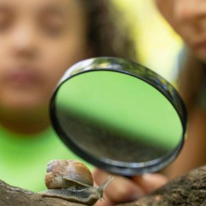 9 activitats d’un dia sobre ciència per a escoles