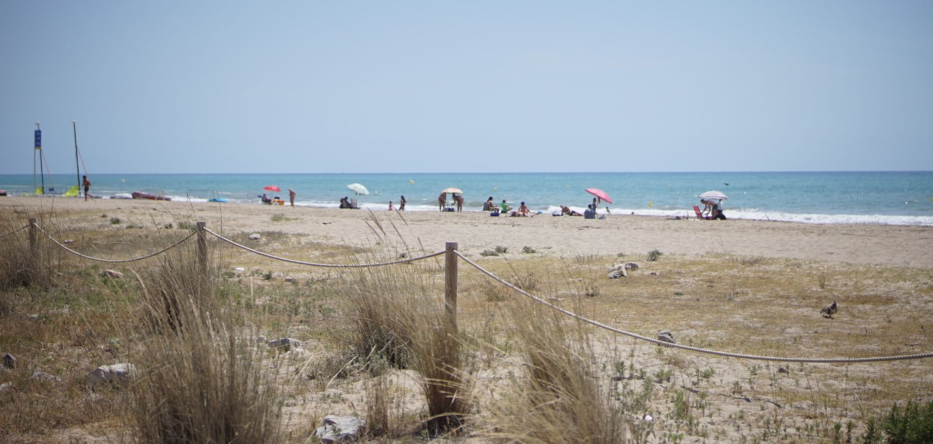 Curiositats sobre les Platges del Delta del Llobregat