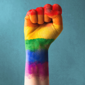 LGTBI-fòbia a les entitats: protocols per combatre-la