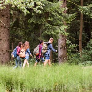 6 treballs de síntesi en anglès a la natura