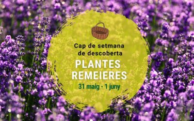 Vine a conèixer les plantes remeieres!