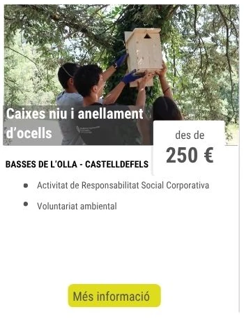 Caixes niu i anellament d'ocells Caixes niu i anellament d'ocells