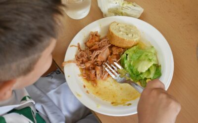 Fundesplai i la UVic impulsen un projecte educatiu per reduir el malbaratament alimentari