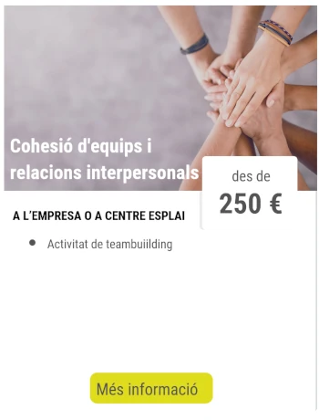 Activitat de teambuilding per cohesió d'equips