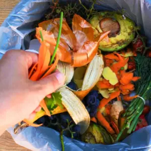 Com reduïm el malbaratament alimentari a les cases de colònies