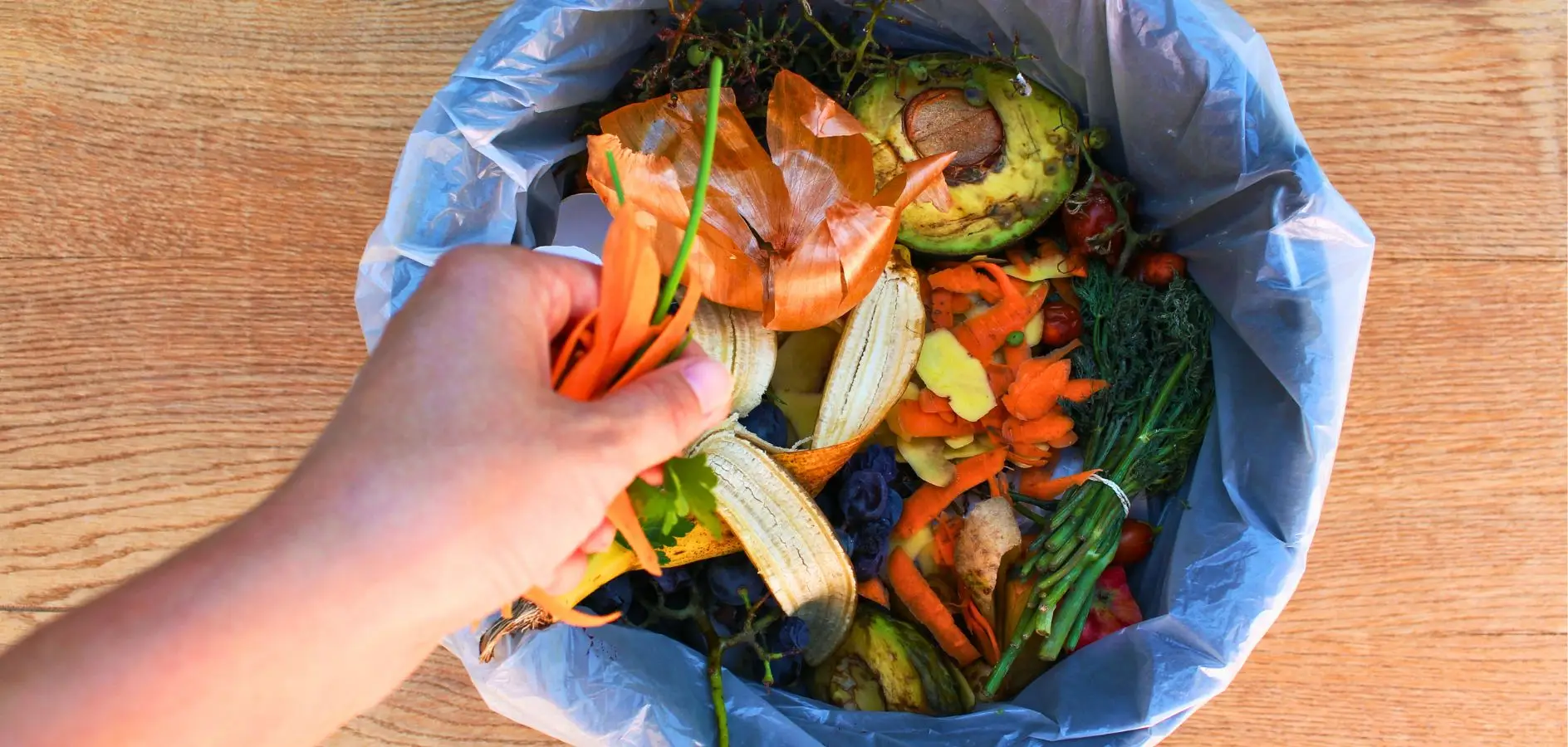 Com reduïm el malbaratament alimentari a les cases de colònies