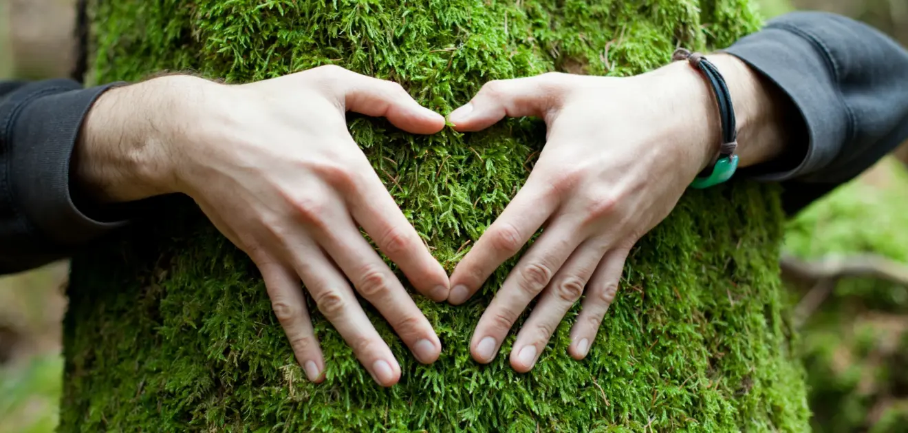 mans-cor-arbre-natura-freepik