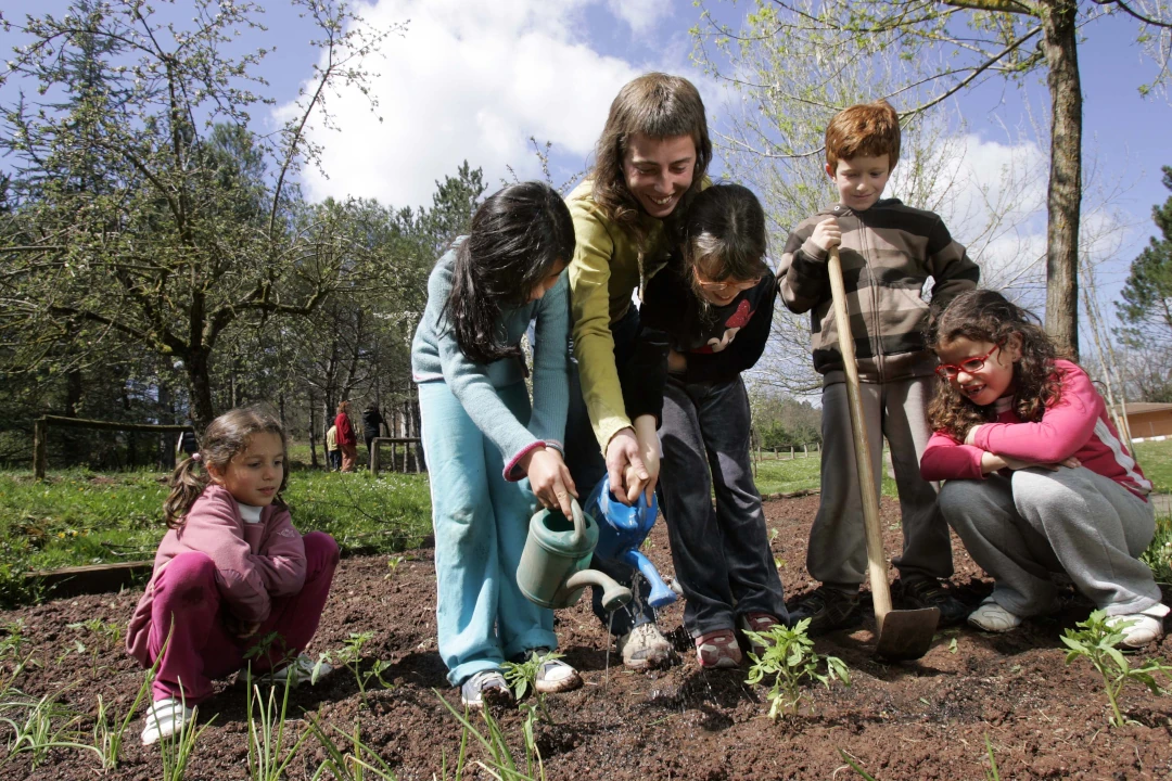 plantacio i rec de plantes grup infants i adulta