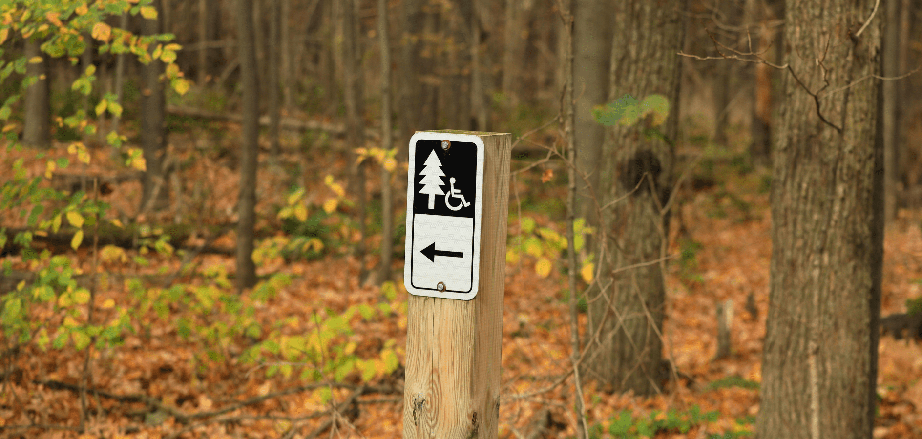 Rutas y parques naturales accesibles en silla de ruedas