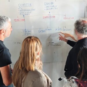 Pilot test of the Domitia project of complementary training for leisure monitors and directors