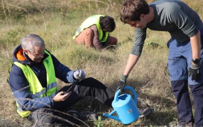 ¡Celebramos el Día Internacional del Voluntariado!