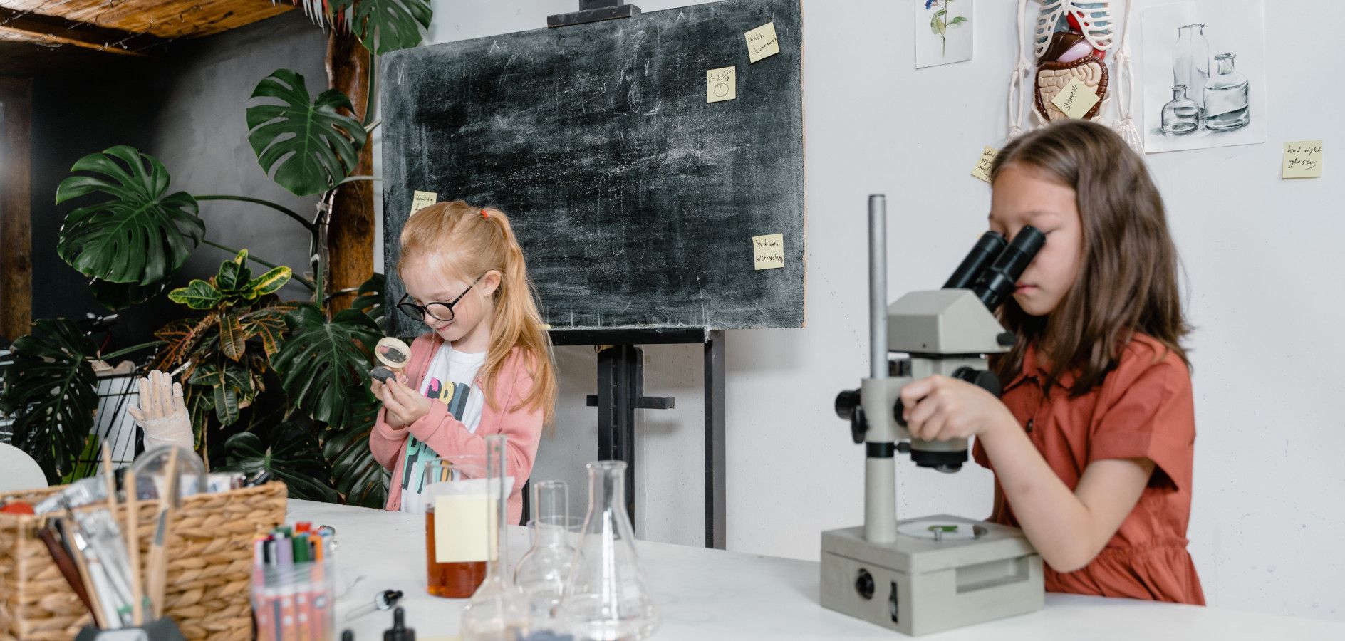 15 activitats pel Dia de la Dona en la Ciència (part 1)