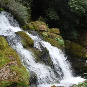 Descobreix les Fonts del Llobregat amb nens i nenes