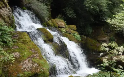 Descobreix les Fonts del Llobregat amb nens i nenes