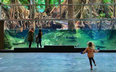 20 museus ideals per a nens i nenes a Barcelona i voltants