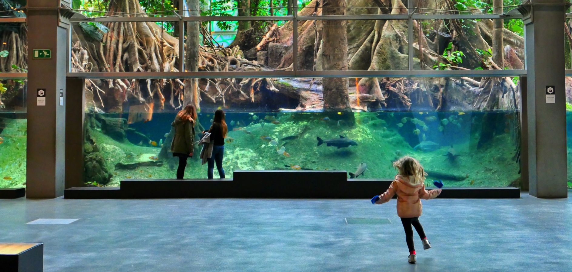 20 museus ideals per a nens i nenes a Barcelona i voltants