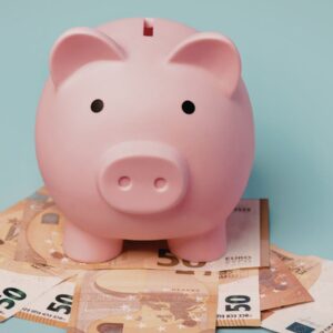 Tot el que cal saber sobre el Salari Mínim Interprofessional per al 2026