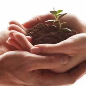 Període de prova: bones pràctiques per a una gestió segura a les entitats