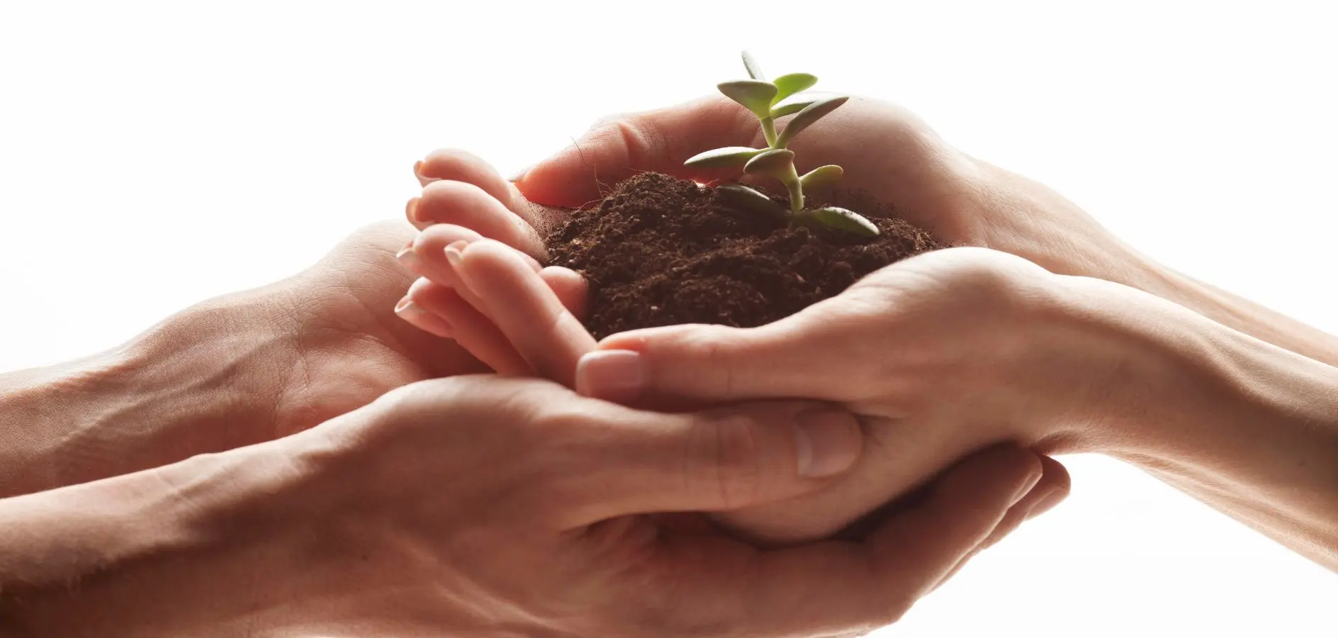 Període de prova: bones pràctiques per a una gestió segura a les entitats