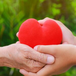 CREA ERP evoluciona l’eina de Donacions per donar més control i visibilitat a les entitats