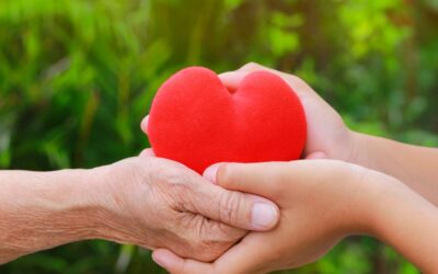 CREA ERP evoluciona l’eina de Donacions per donar més control i visibilitat a les entitats