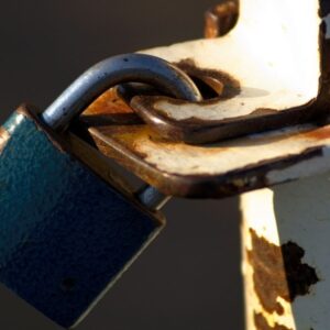 Quines assegurances necessita una entitat? Guia pràctica per entendre-les