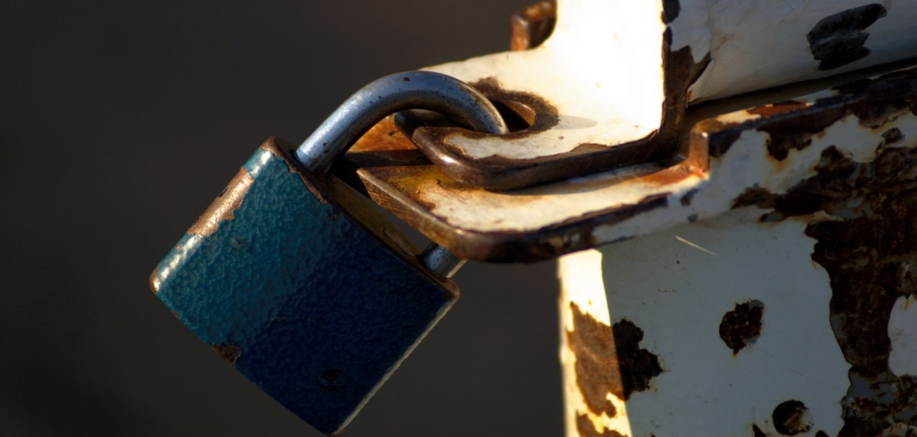 Quines assegurances necessita una entitat? Guia pràctica per entendre-les