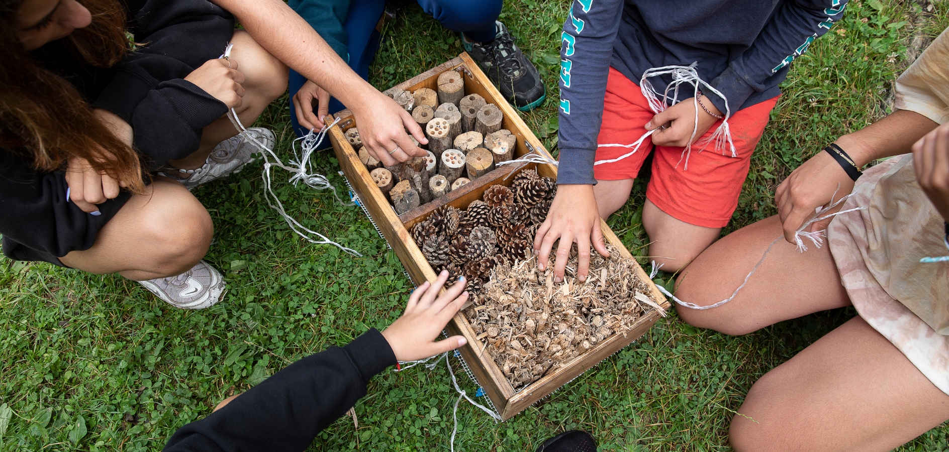12 curiositats sorprenents de fauna i flora als parcs urbans