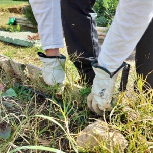 Impulsem la naturalització dels patis a les escoles d’Igualada