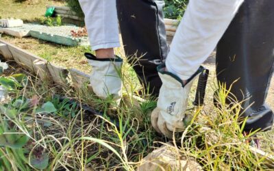 Patis Vius: impulsem la naturalització a les escoles d’Igualada