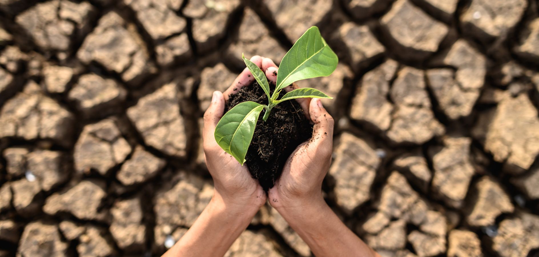 El canvi climàtic, una prioritat educativa