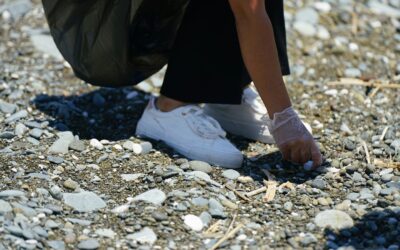Nova acció de voluntariat ambiental per a joves